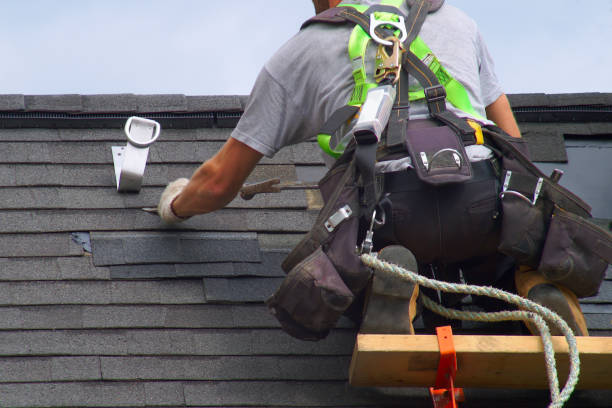 Best Flat Roof Repair Services  in Van Buren, MO