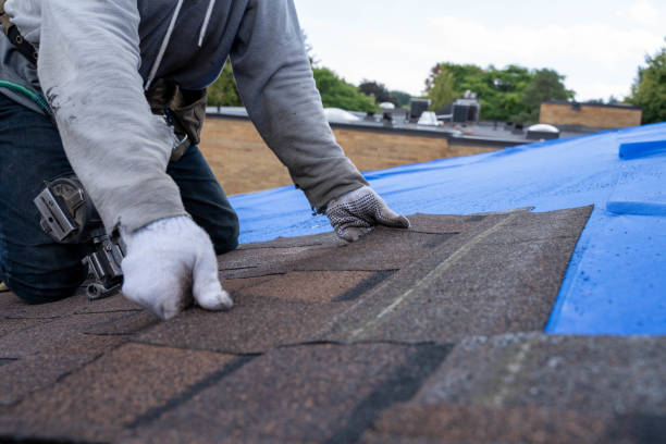 Best Local Roofing Companies  in Van Buren, MO