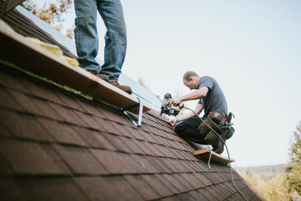 Roof Waterproofing Services in Van Buren, MO